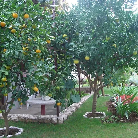 In Mit Grossem Balkon * Trogir