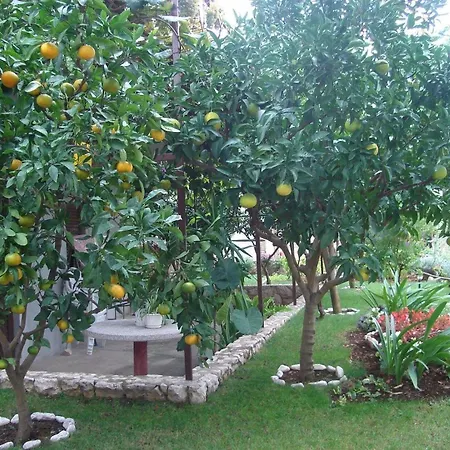 In Mit Grossem Balkon * Trogir